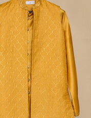 Amber Yellow Tassar Long Jacket Set
