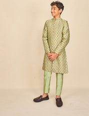 Apple Green Jaipuri Print Highlighted Achkan Set